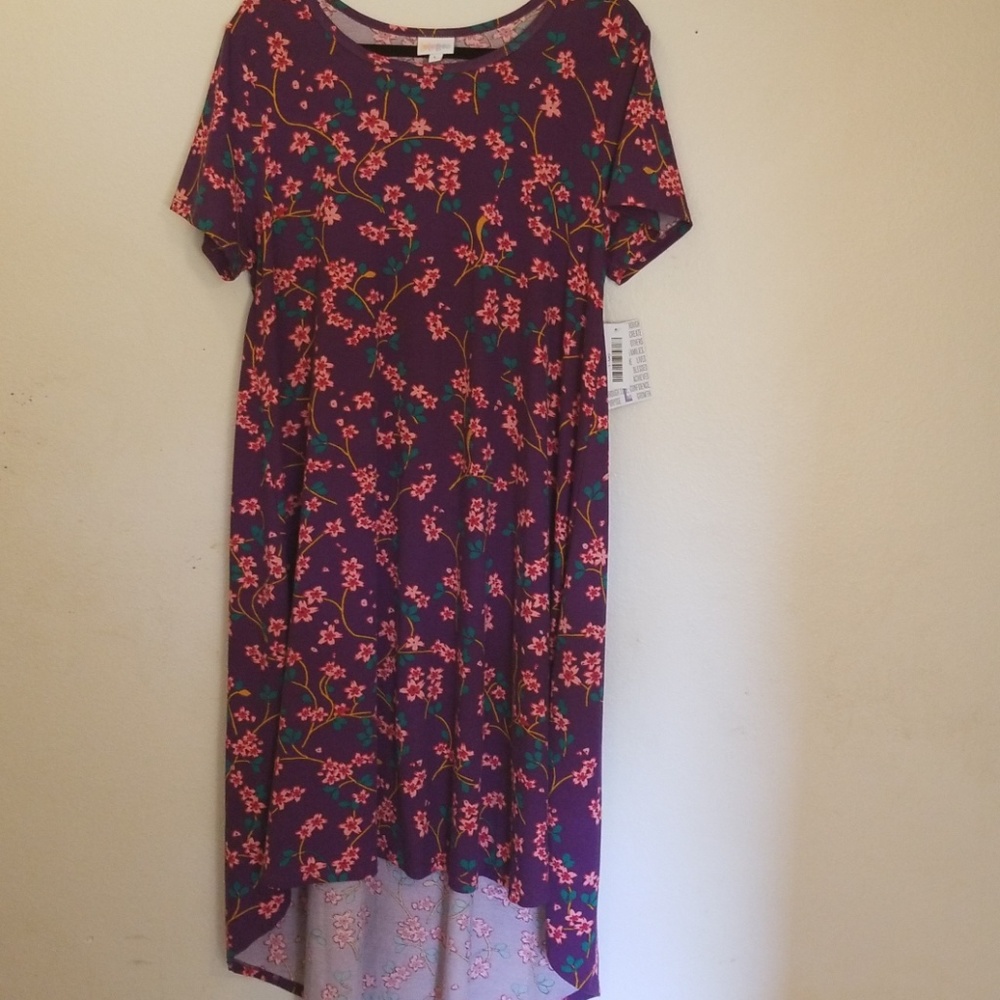 NWT  Large Lularoe Floral Carly Dress